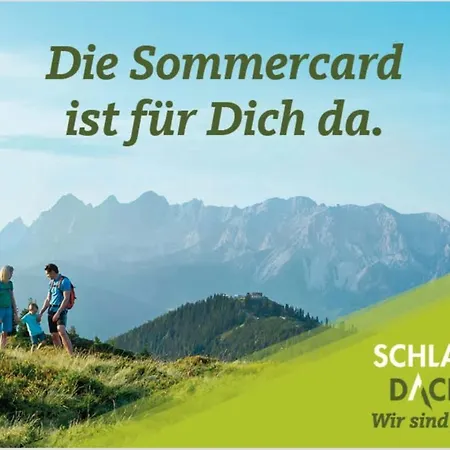 Vakantiehuis Bobbies Nest Schladming
