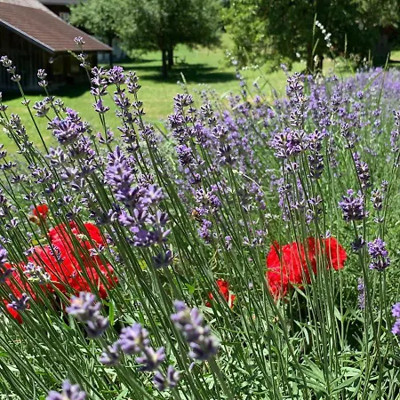 Bobbies Nest Vakantiehuis Schladming